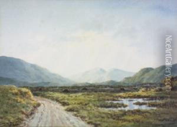 Marshy Landscape Oil Painting - Douglas Alexander