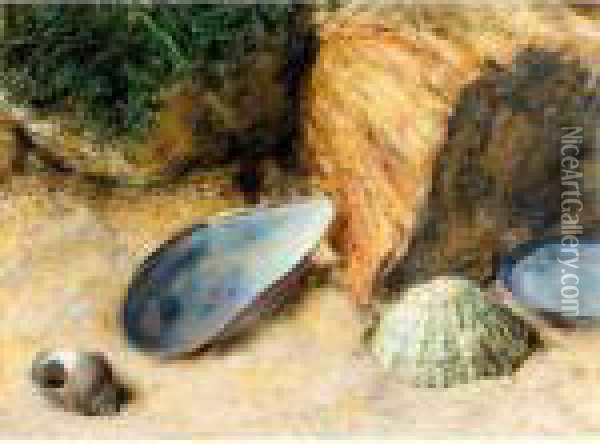 Still Life With Sea Shells On A Mossy Bank Oil Painting - William Henry Hunt