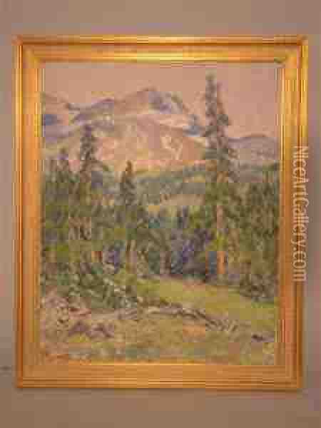 Mountain View With Pine Trees Oil Painting - Kate Williams