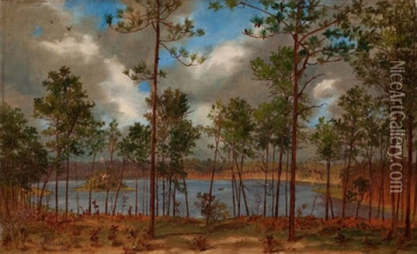 View From The Woods, 1882 Oil Painting - John Bradley Hudson