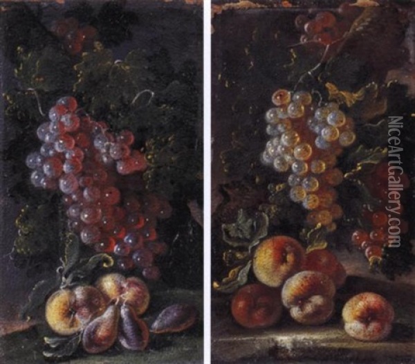 Uva Nera, Pesche E Prugne Oil Painting - Bartolomeo Castelli the Younger
