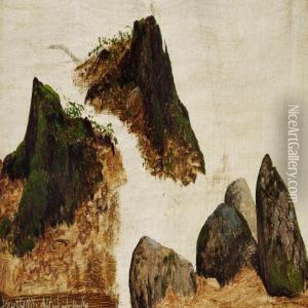 Studies Of Stones And Stumps Of Trees Oil Painting - Peter Christian T. Skovgaard