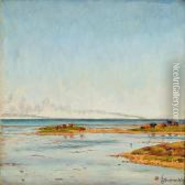 Coastal Scene Fromsaltholm, Denmark Oil Painting - Emil Winnerwald