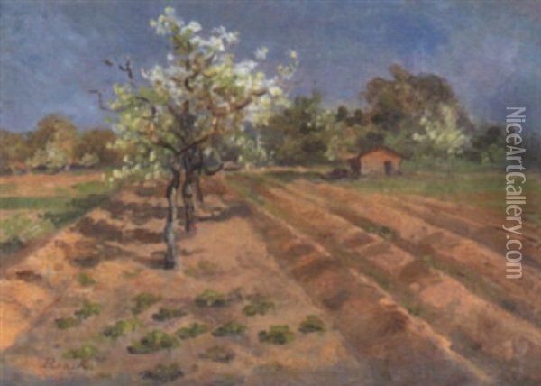 Bluhende Obstbaume Am Feldrand Oil Painting - Ernst Emil Renck