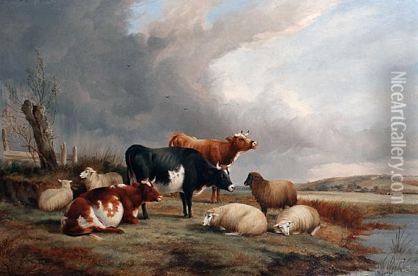 Cows And Sheep Resting By A River Oil Painting - J.A. Davis