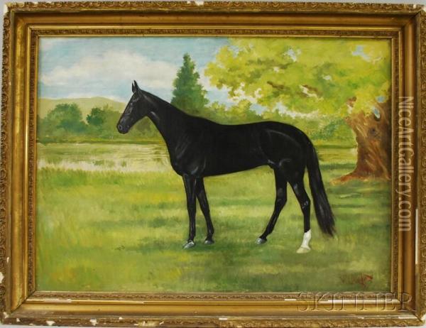 Portrait Of A Horse In Profile Oil Painting - Wilbur Leighton Duntley