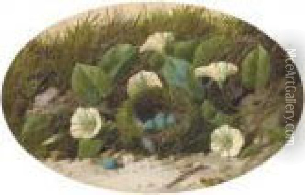 Convolvulus And A Bird's Nest On A Mossy Bank Oil Painting - William Cruickshank