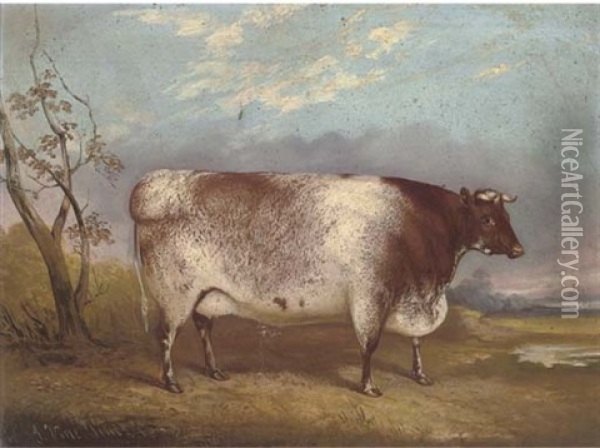 A Prize Cow Oil Painting - John Vine