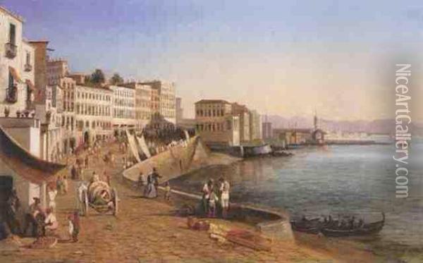 View Over Naples Oil Painting - Felix Fouihouze