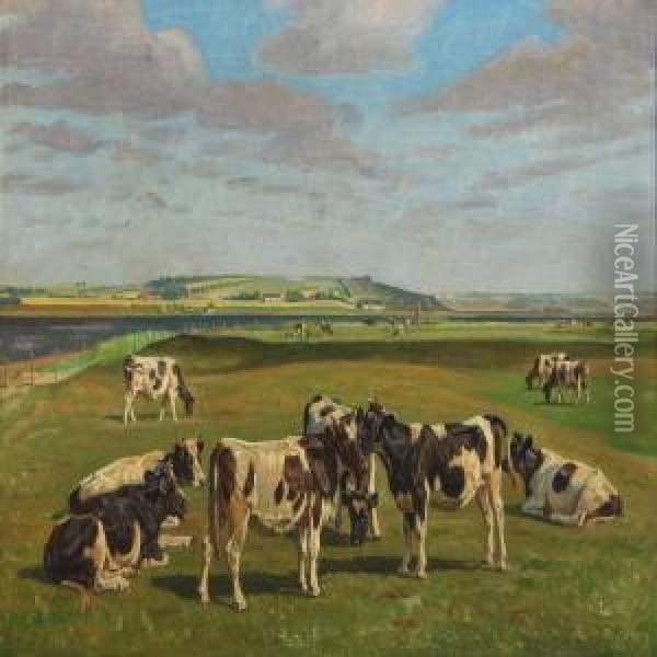 Cows On A Meadow At Hjarbaek Fiord Oil Painting - Rasmus Christiansen