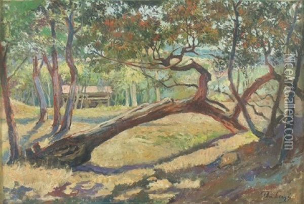 Sonnige Waldlandschaft Mit Umgesturztem Baum Oil Painting - Ulvi Liegi (Luigi Levi)