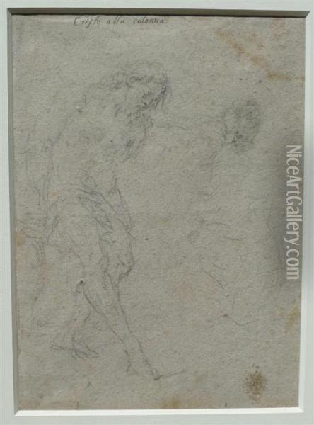 Study For The Flagellation Of Christ Oil Painting - Gaspare Diziani