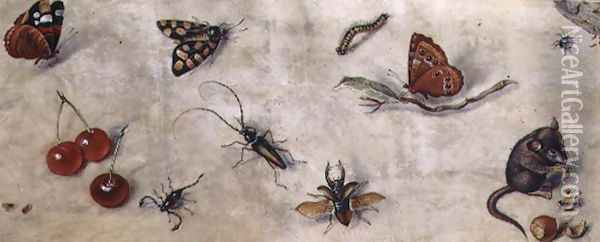 A Study of Various Insects Fruit and Animals Oil Painting - Jan van Kessel