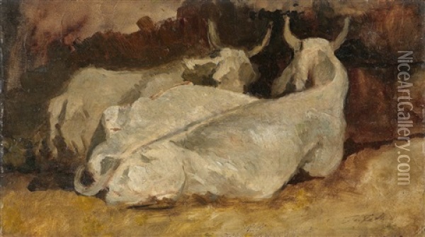 Liegende Kuhe Oil Painting - Giovanni Fattori