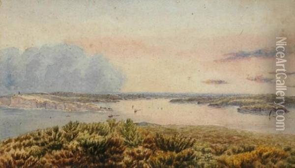 D.stocks Sydney Harbour From North Shore Oil Painting - John Ernest Breun