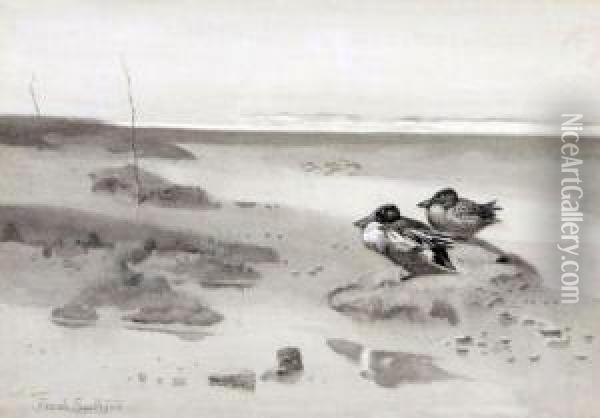 Shoveller Duck On The Saltings Oil Painting - Frank Southgate