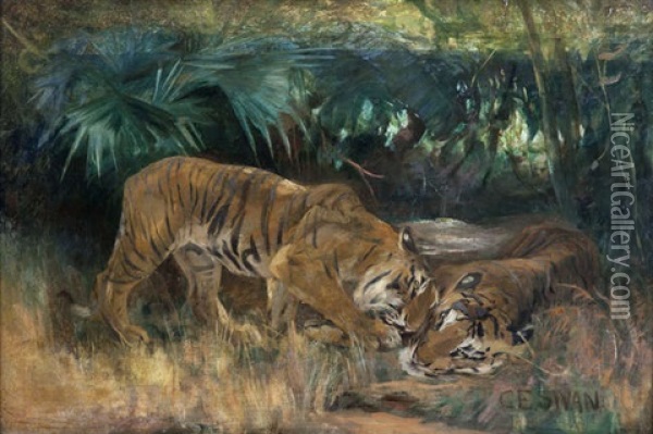 Bengal Tigers Oil Painting - Cuthbert Edmund Swan