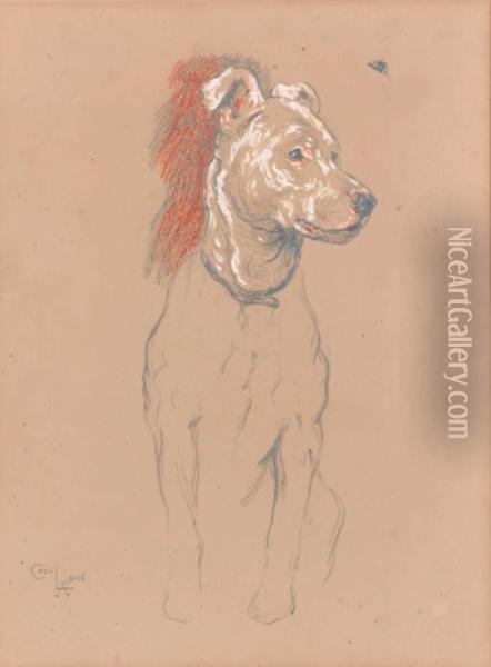 Study Of A Terrier Oil Painting - Cecil Charles Aldin