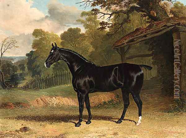 Black Tom, a black hunter, beside a stable, in a wooded river landscape Oil Painting - John Frederick Herring Snr