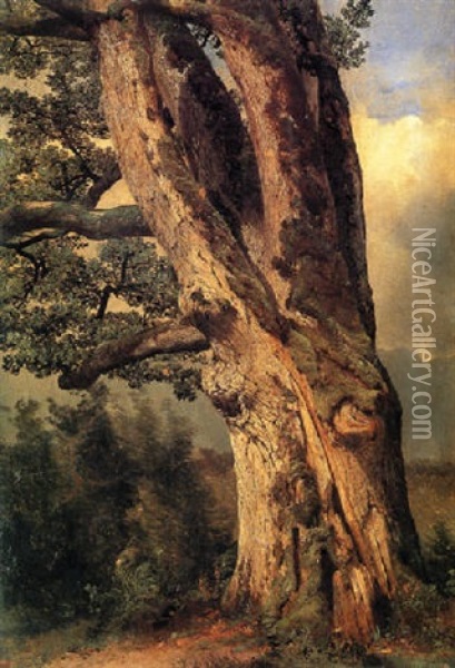A Tree Trunk Oil Painting - Alexandre Calame