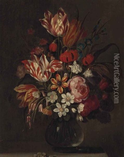 Still Life With Tulips And Carnations In A Glass Vase Oil Painting - Balthasar Van Der Ast