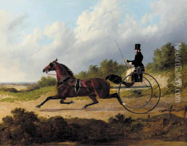 The Famous Trotter Confidence Drawing A Gig Oil Painting - John Frederick Herring Snr