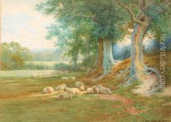 Sheep Resting Beneath The Trees; And Feeding The Sheep Oil Painting - Charles James Adams