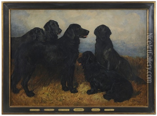 Portrait Of Four Retrievers And A Black Spaniel Oil Painting - John Emms