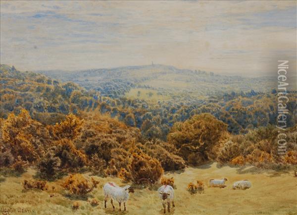 Sheep Grazingin An Extensive Landscape Oil Painting - John Clayton Adams