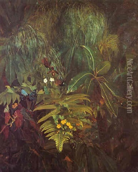 Hummingbirds And Butterflies In A Tropical Vegetation Oil Painting - Adriana Johanna Haanen