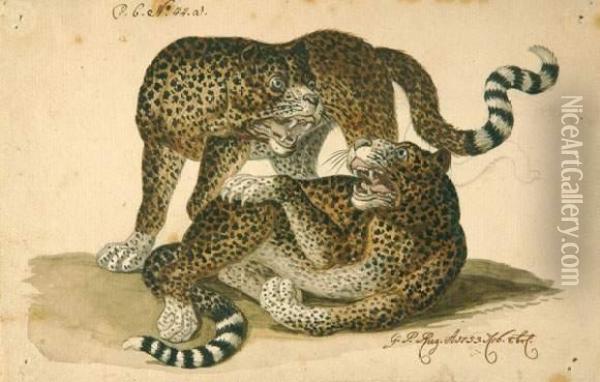 Spielende Leoparden. Oil Painting - Georg Philipp I Rugendas