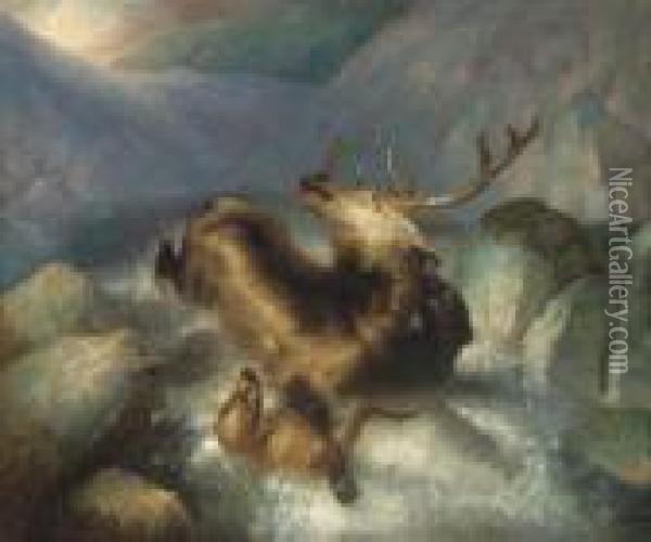 Deer And Deerhounds In A Mountain Torrent Oil Painting - Landseer, Sir Edwin