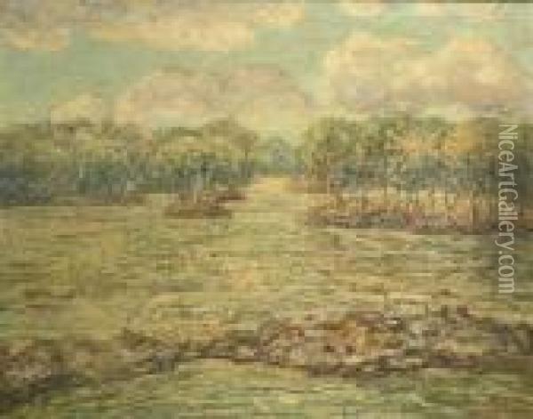 Mangrove Trees, The Florida Everglades Oil Painting - Ernest Lawson