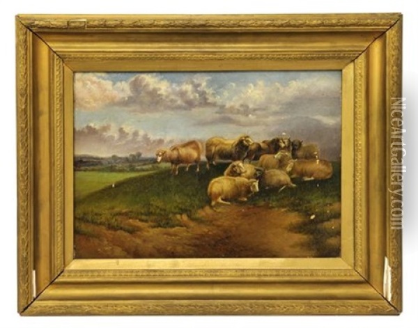 Untitled (grazing Sheep In The Field) Oil Painting - Johann Nepomuk Ott