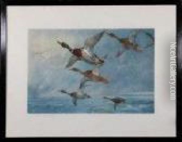 Mallard Ducks In Flight Oil Painting - Archibald Thorburn