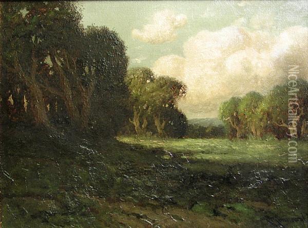 Sunlit Meadow With Oaks Oil Painting - Carl Henrik Jonnevold