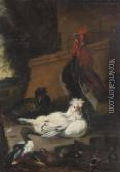 Hahn, Huhner, Enten Und
 Kuken Oil Painting - Jacomo (or Victor, Jacobus) Victors