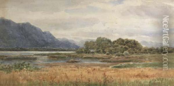 View From The Lake Hotel, Killarney Oil Painting - Alexander Williams