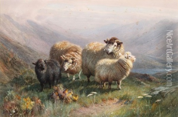 Highland Sheep Oil Painting - William R.C. Watson