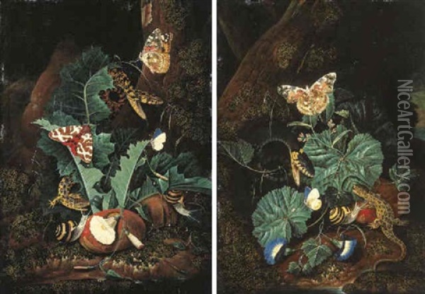 Forest Floor Still Life With Lizards, Snakes, Painted Lady Butterflies, A Red Tiger Moth, Snails, Thistle And Convolvulus Oil Painting - Carl Wilhelm de Hamilton
