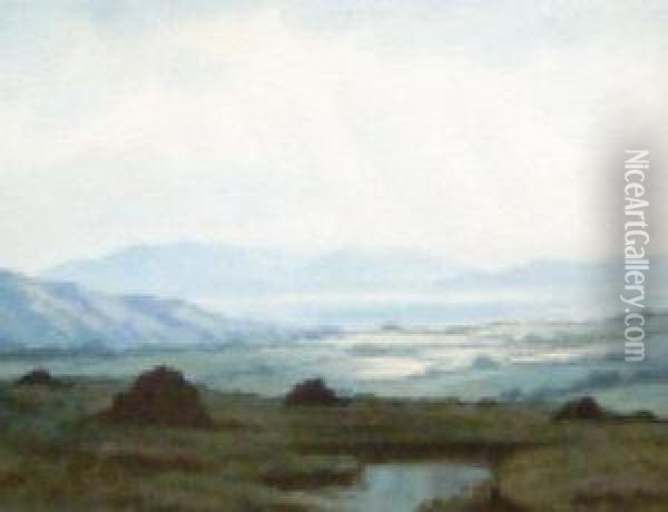 Near Oughterard, Carrick In The Background Oil Painting - Douglas Alexander