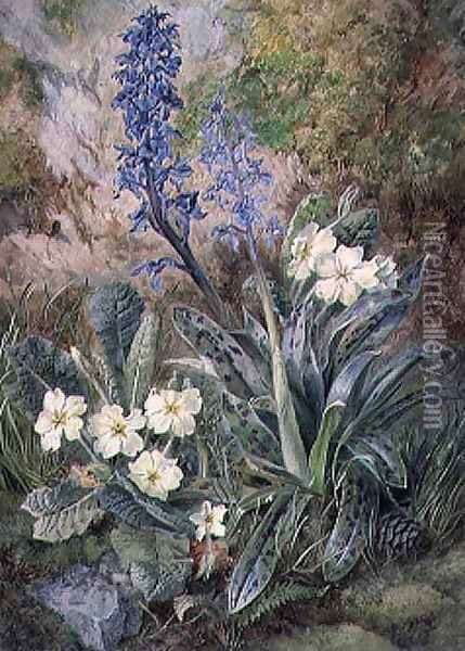Purple Orchid and Primrose Oil Painting - Thomas Collier