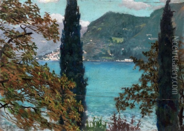 Lago Di Como Oil Painting - Adolfo Belimbau