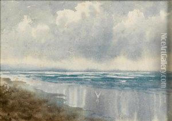 Coastal Scene With Seaegulls Oil Painting - William Percy French