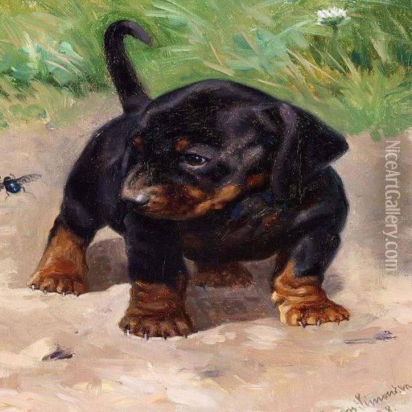A Curious Dachshund Puppy Oil Painting - Simon Simonson