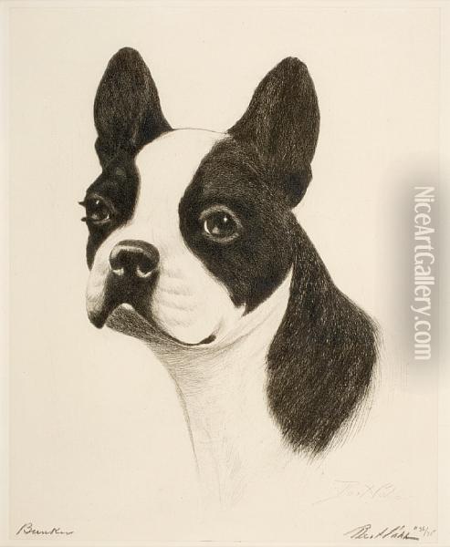 A Boston Terrier Oil Painting - Bert Cobb