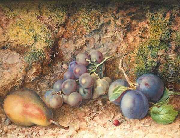 Still life with Grapes, Plums and a Pear on a mossy Bank Oil Painting - Philip Dolan