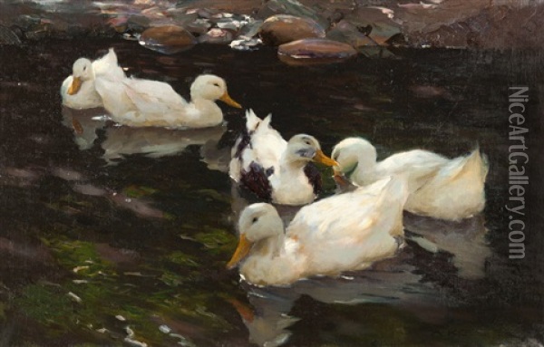 Funf Enten Im Teich Oil Painting - Alexander Max Koester