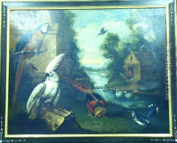 Exotic Birds Oil Painting - Melchior de Hondecoeter