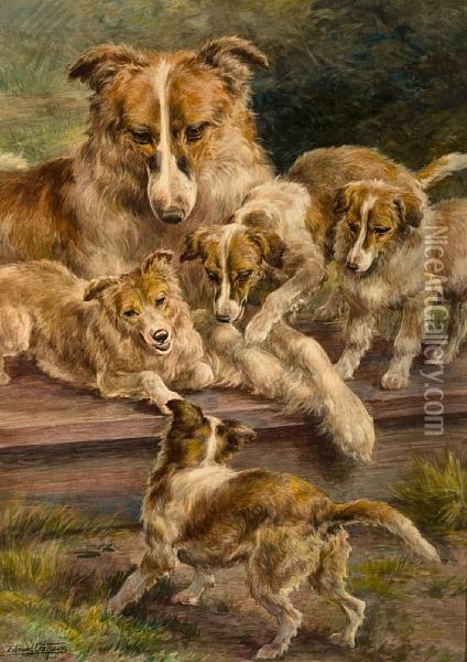 Collie And Pups Oil Painting - Edmund Henry Osthaus